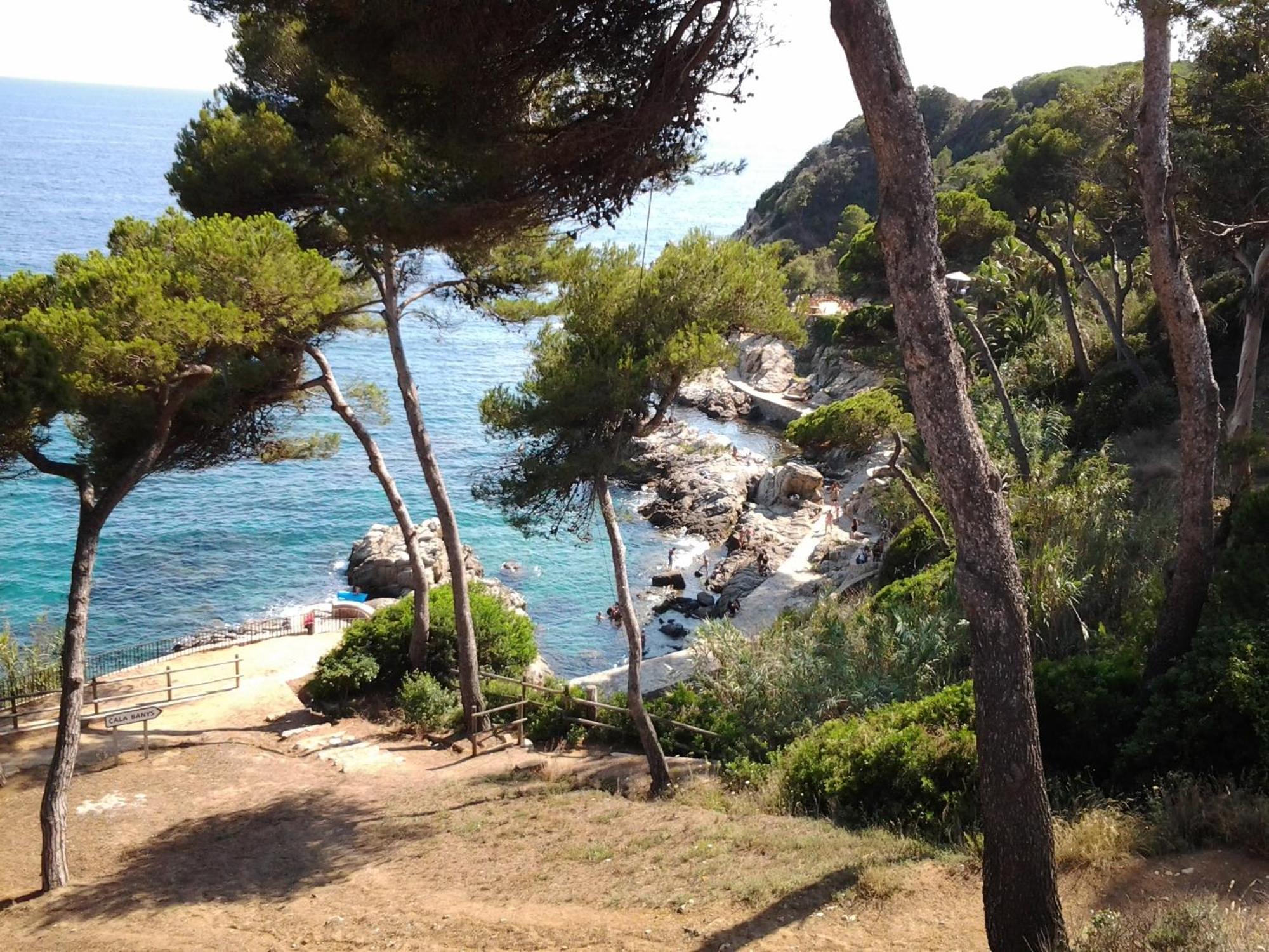 Ferienwohnung Apartamento Sol- Fanals Lloret de Mar Exterior foto